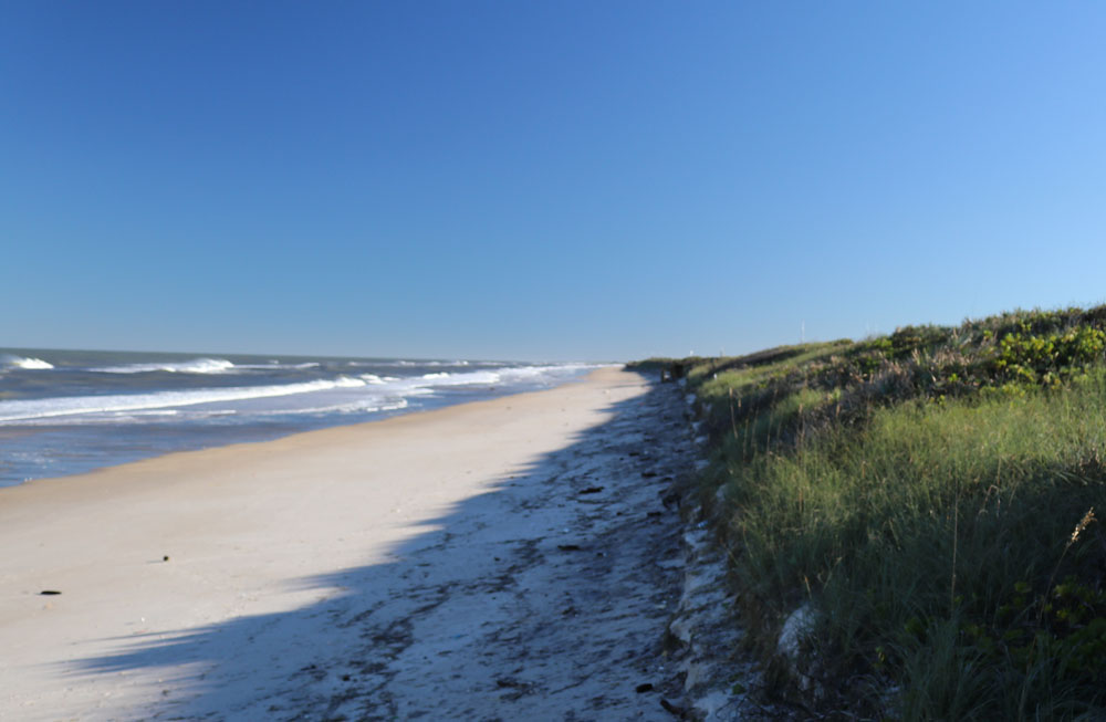 canaveral national seashore beach